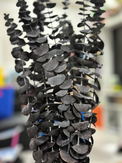 Dried Eucalyptus