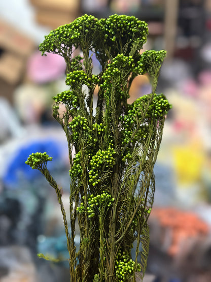 Rice Flowers