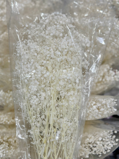 Dream Stars/ Baby Breath