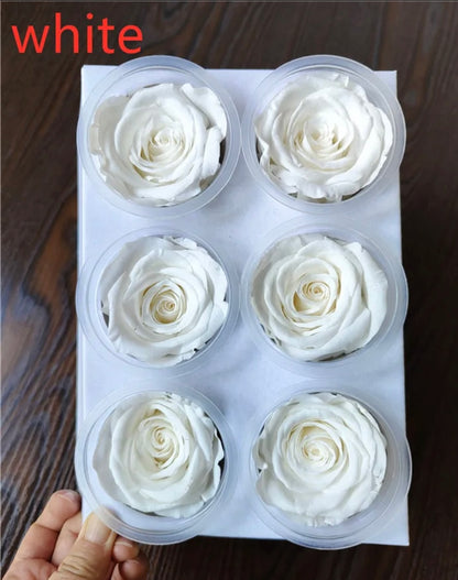 Grade A Preserved roses 5-6cm (6 Roses/Box)