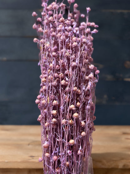 Preserved Flowers Rich Bean