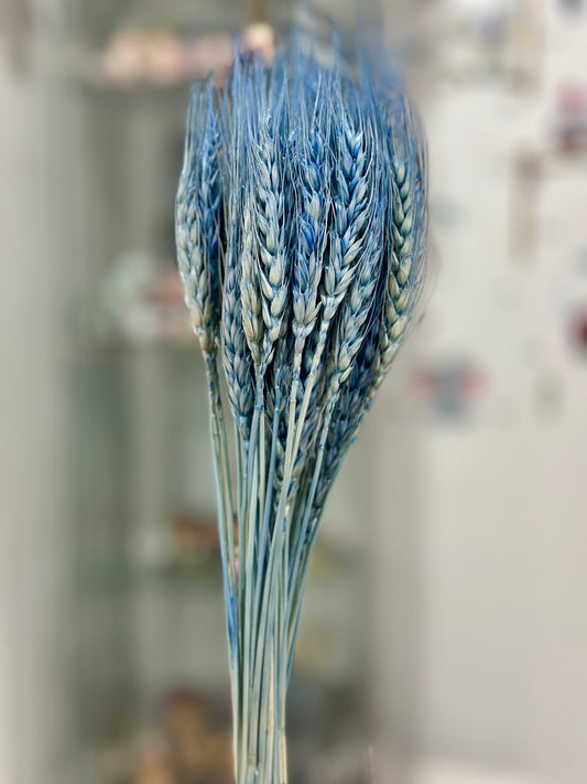 Dried Wheat