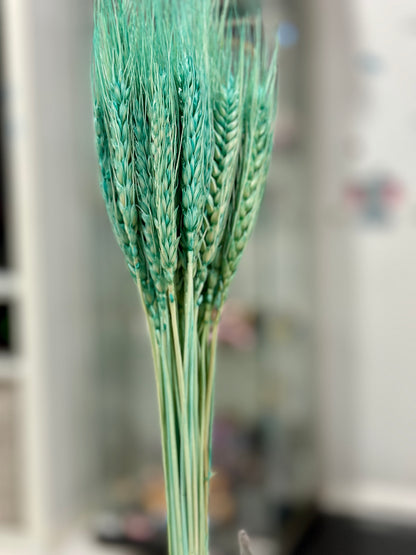 Dried Wheat