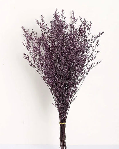 Dried Misty / Limonium