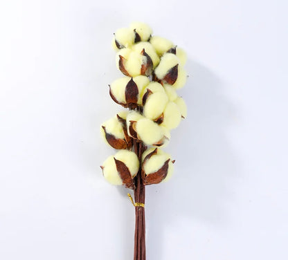 Cotton flowers