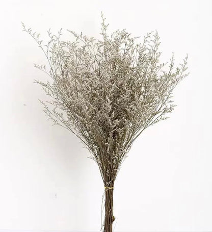 Dried Misty / Limonium