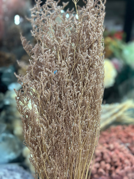 Dried Misty / Limonium