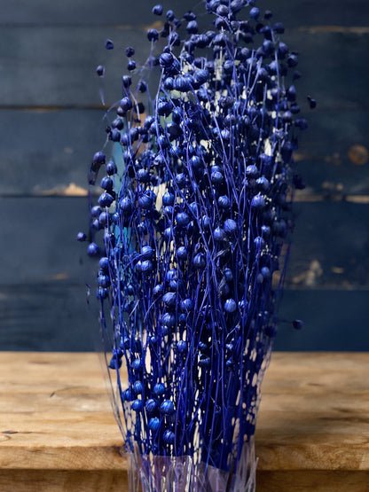 Preserved Flowers Rich Bean