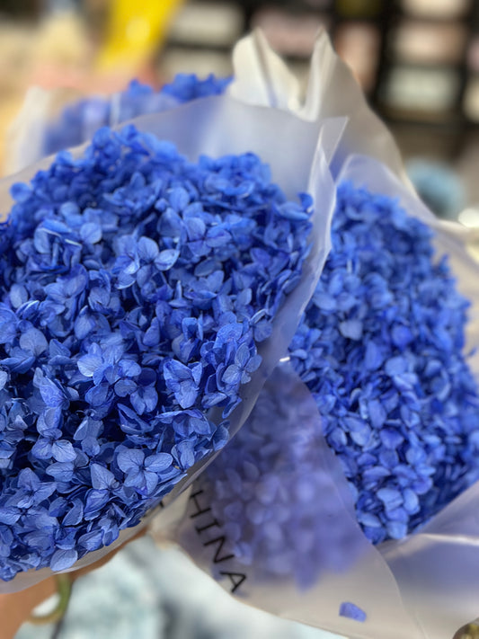 Anna Hydrangeas Big Bunch