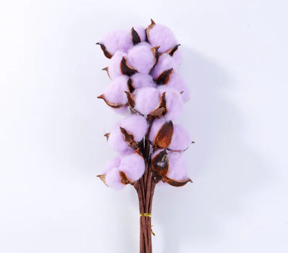 Cotton flowers