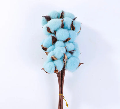 Cotton flowers