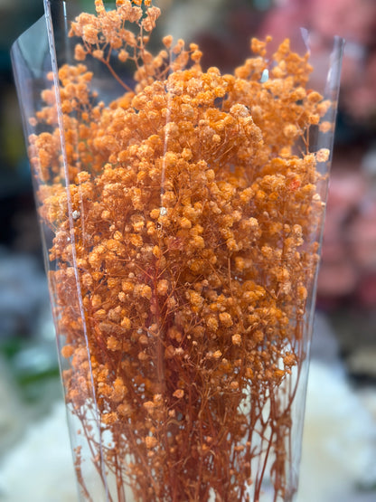 Baby's Breath