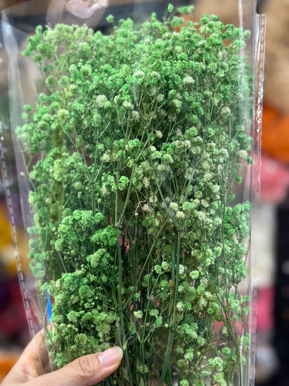 Baby's Breath