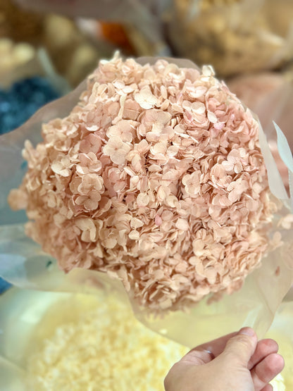 Anna Hydrangeas Big Bunch