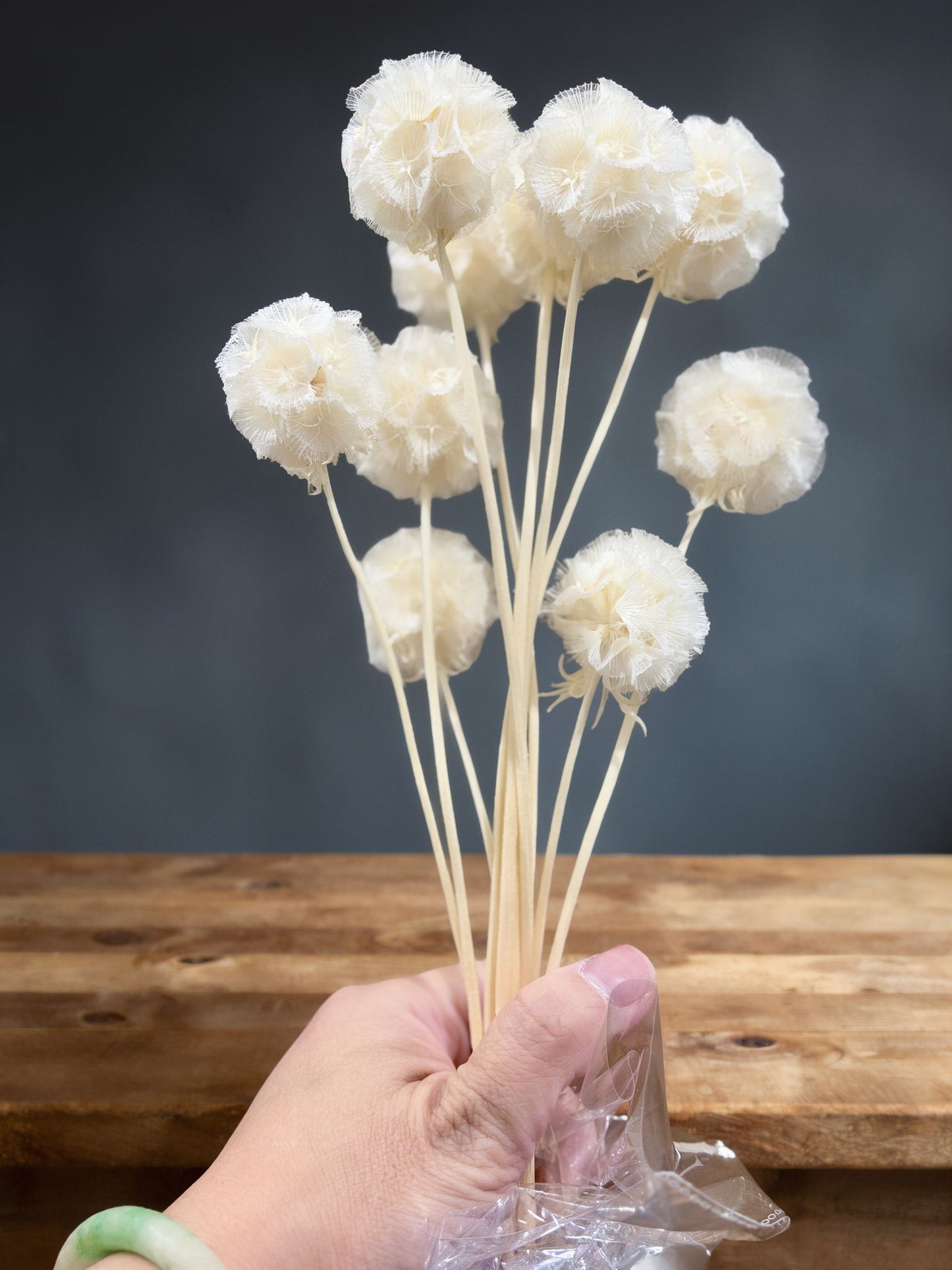 Scabiosa - 10 Stems/Bunch