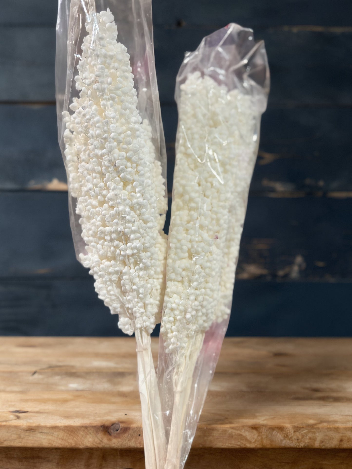 Sorghum