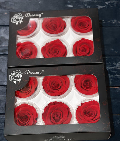 Grade A Preserved roses 5-6cm (6 Roses/Box)