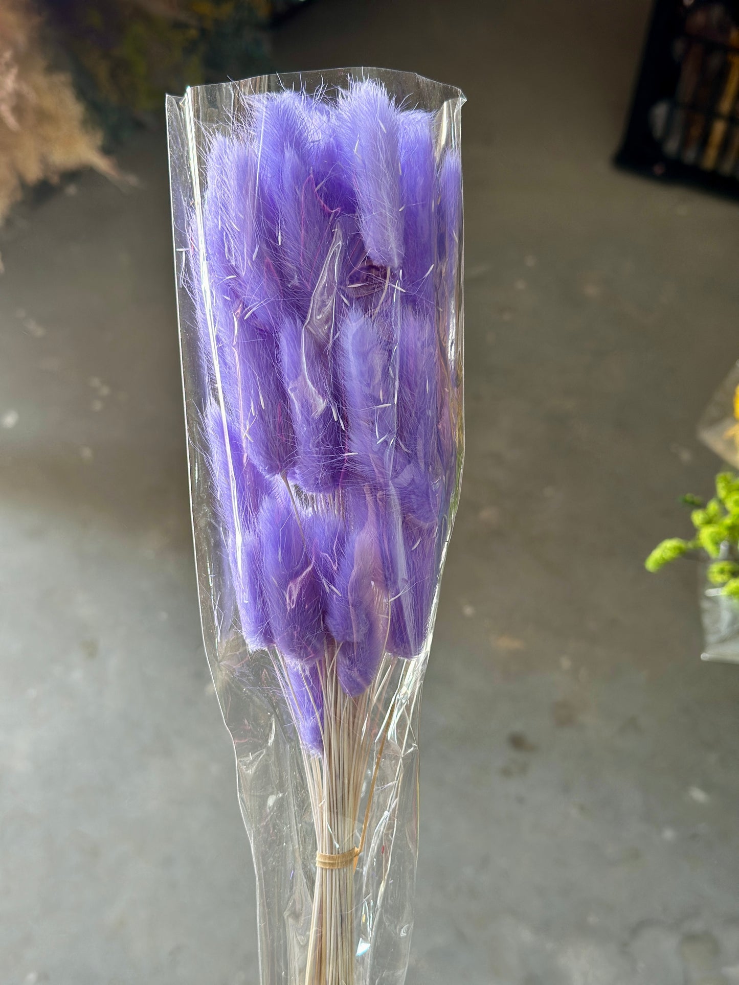 Bunny Tails