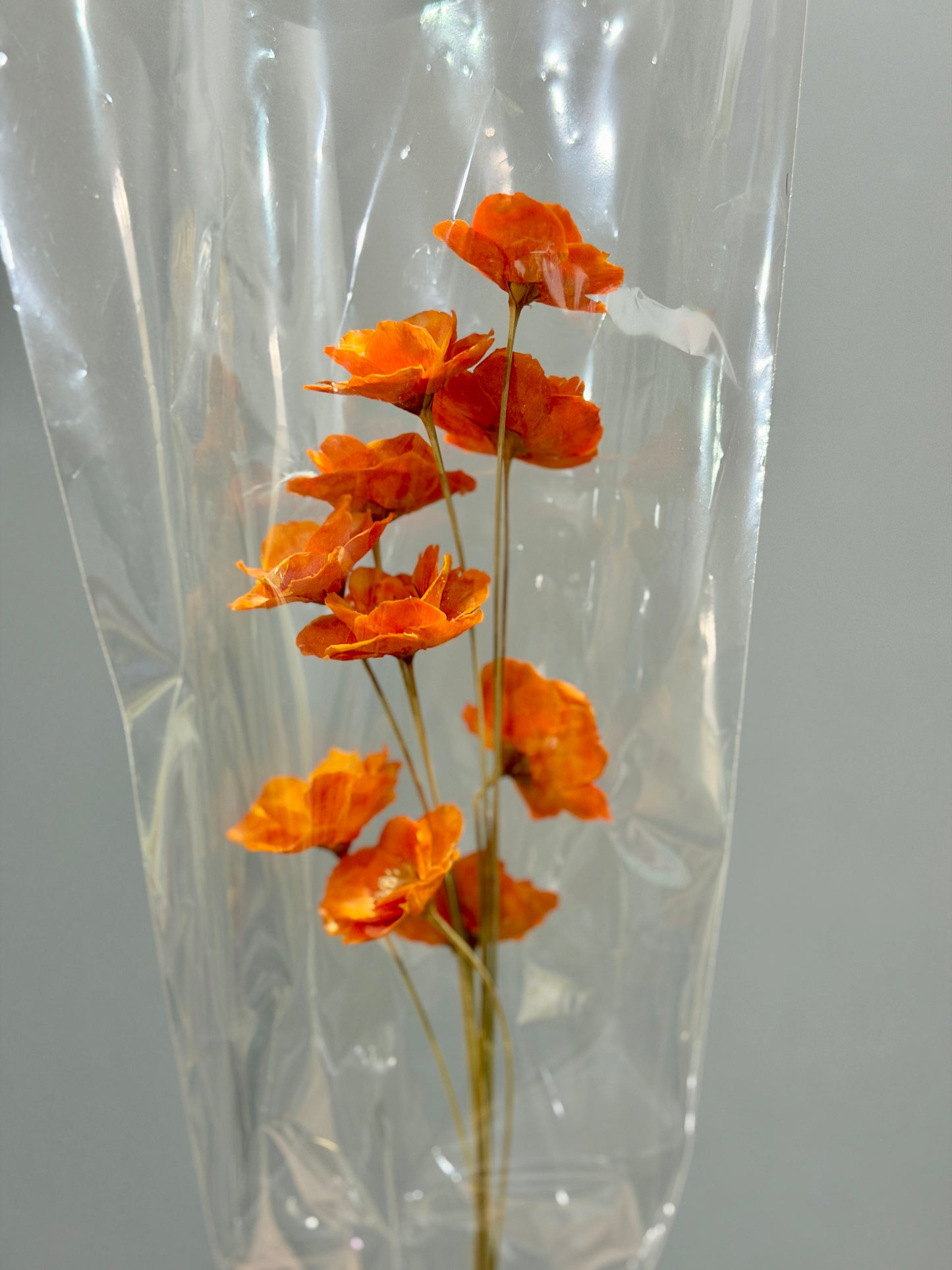 Small Bellflowers - 10 stems/Pack